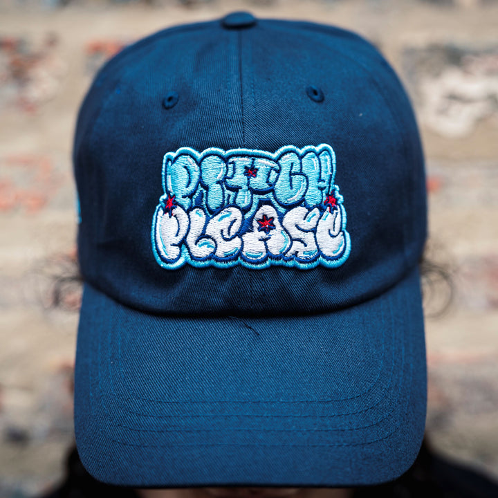 Chicago Stars FC Pitch Please Hat