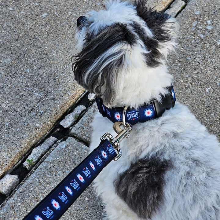 Chicago Stars FC Pet Leash Novelty All Star Dogs