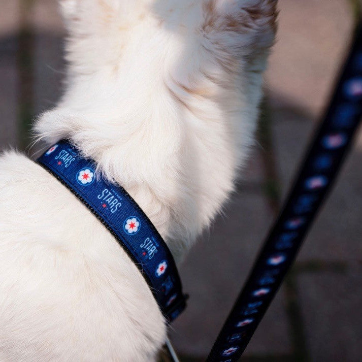 Chicago Stars FC Pet Collar Novelty All Star Dogs