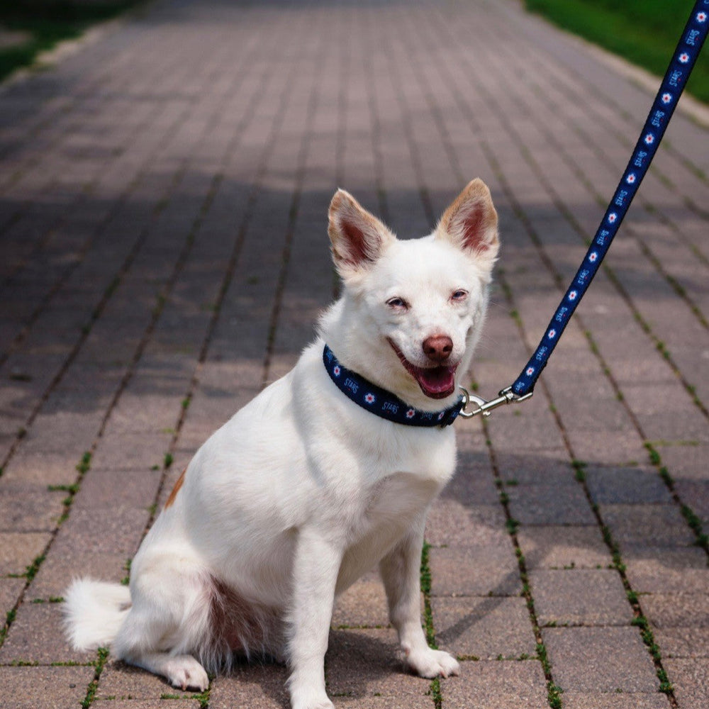 Chicago Stars FC Pet Leash Novelty All Star Dogs